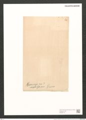 Pleurosigma var. nodiferum Grun. (de-Toni-Nr.: Genus 13, Species 1076) Zeichnungen Sammlung Grunow (NHMW-BOT-W0369116)